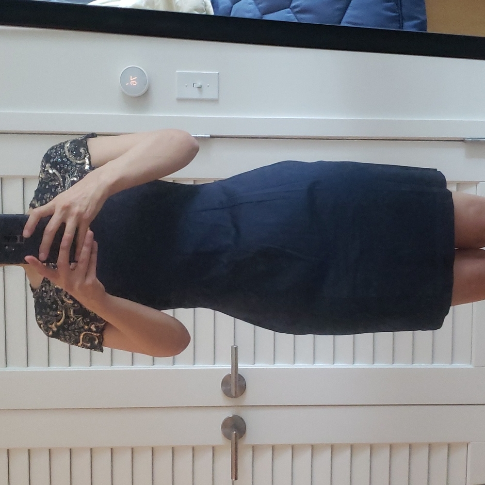 NWT. French connection Aspen dress